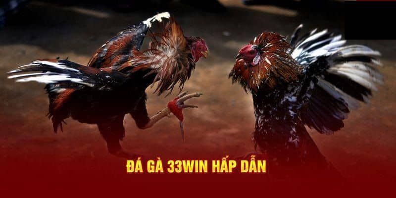 Ưu điểm đá gà 33win