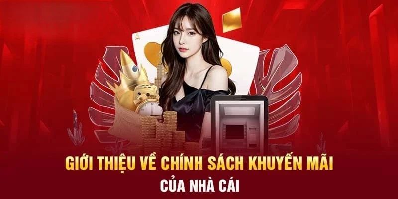 Chính sách về chúng tôi